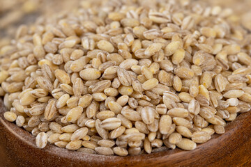 Cheap tasteless barley porridge close-up