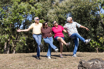 Group of happy seniors having fun while going on a picnic on the mountain.