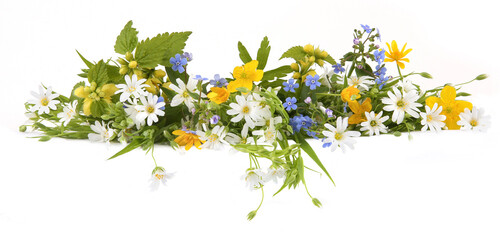 Spring flowers Greater stitchwort, Yellow archangel, Forget-me-not, yellow anemone isolated on...