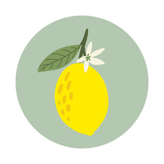 Blossom, lemon. Fruit plant flowers and leaves. Generative AI