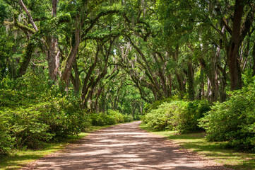 Fototapeta premium The Afton Villa Gardens in Louisiana
