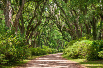 Obraz premium The Afton Villa Gardens in Louisiana