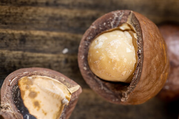 Unpeeled macadamia nuts on the table