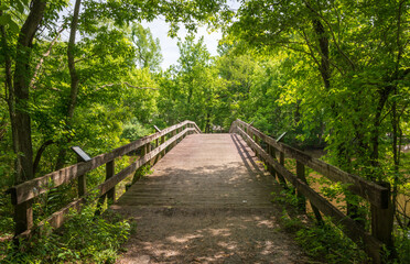 Obraz premium Boardwalk at Lake Fausse Pointe State Park