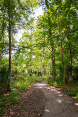 Hiking Trail at Lake Fausse Pointe State Park
