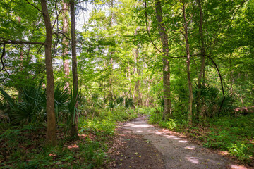Hiking Trail at Lake Fausse Pointe State Park