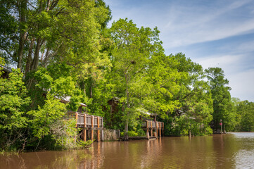 Obraz premium River at Lake Fausse Pointe State Park