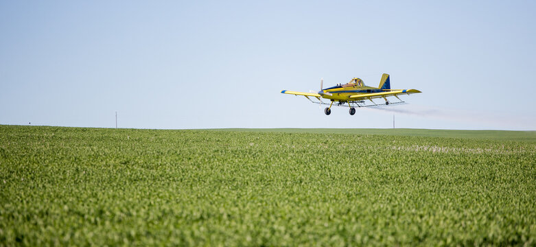 Close up image of crop duster airplane spraying grain crops on a field on a farm
