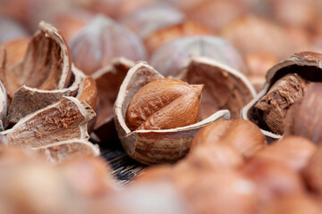 not peeled from the hard shell of useful hazelnuts