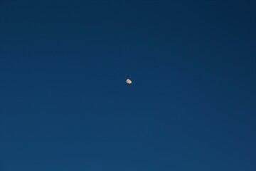 moon in the sky