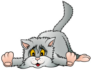 Gray Long-haired Cute Kitty Lying on the Ground