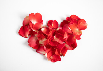 Red rose petals on white background