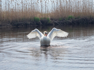 OLYMPUS DIGITAL CAMERA © Artur