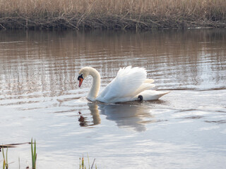 OLYMPUS DIGITAL CAMERA © Artur