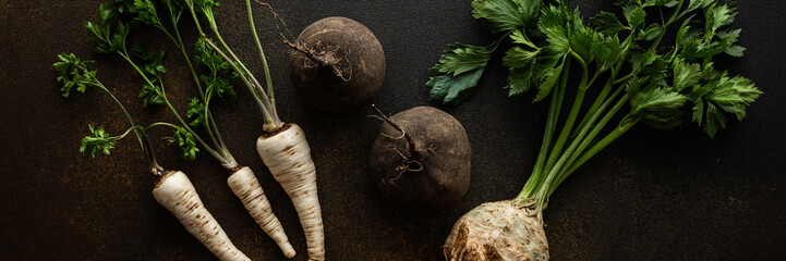 Parsley and selera roots with tops and black radish close-up on a brown background, top view, healthy autumn seasonal roots banner