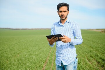 Naklejka na ściany i meble worry less ,indian farmer standing in his healthy wheat field