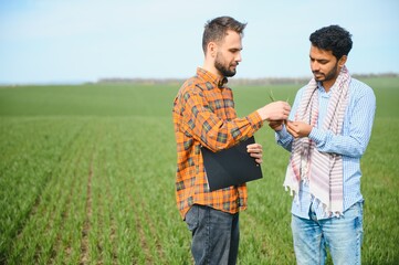 Two indian farmers standing at agriculture field.