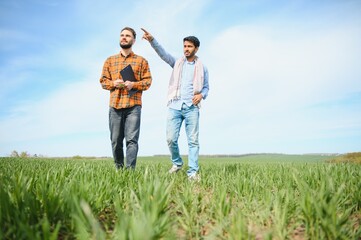 The concept of international relations in agrarian business. Indian and European farmers stand in a field of green wheat