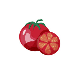 Cartoon Tomatoes. Tomato Cherry Slice vector illustration. Summer Vegetables isolated on transparent background.