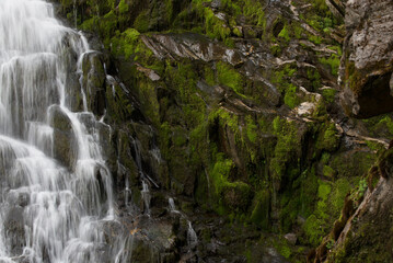 lunga esposizione acqua di una cascata delle dolomiti, una splendida cascata con del bel muschio verde di fianco, la bellezza dei panorami delle dolomiti.