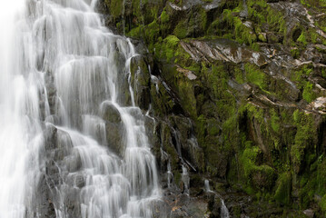 lunga esposizione acqua di una cascata delle dolomiti, una splendida cascata con del bel muschio verde di fianco, la bellezza dei panorami delle dolomiti.