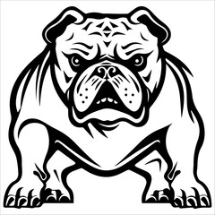 english bulldog portrait