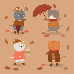 Set of lovely cat in difference gesture in autumn day