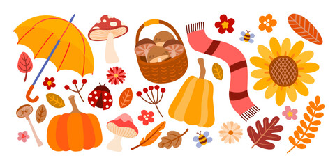 Autumn collection of decorative season elements vector