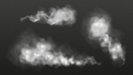 White dust, smoke or fog clouds on a transparent background. Powder or steam spray set, aerosol splash, foggy trail of car wheels. Vector illustration © Anastasia
