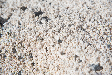 Detalle de primer plano de los rodolitos blancos con su característica apariencia de palomitas de maíz, en la Playa del Hierro o Playa de las palomitas en el centro turístico de Fuerteventura, canaria