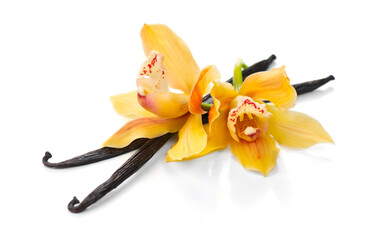 Vanilla flower and pods close up. Vanilla beans isolated on white background, macro shot. Aromatic condiments.  - obrazy, fototapety, plakaty