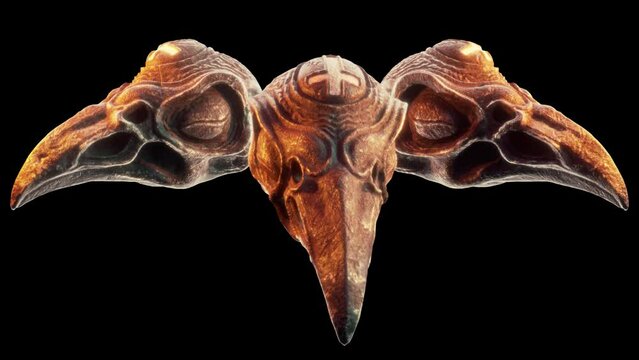 Gothic Raven Skull VJ Loop &ndash; gothic architectural pattern of ancient round window with bird skull in center and flashing cross on forehead. his motion graphics is perfect to use in your next halloween