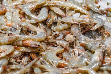 Shrimp raw many on ice at fish market, selective focus