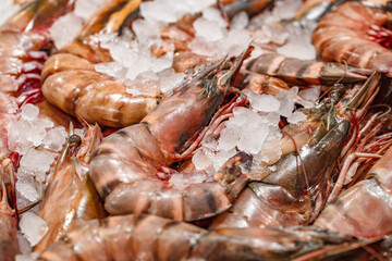 Prawns striped big raw, on ice on fish market, selective focus