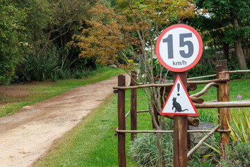 15 km/h speed limit sign warning that there are cats in the area