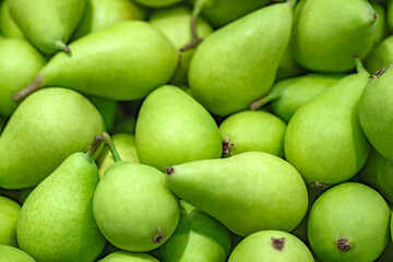 Green pears, in bulk, on supermarket, selective focus