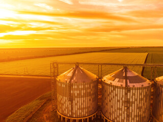 Grain silos on a green field background with warm sunset light. Grain elevator. Metal grain elevator in agricultural zone. Agriculture storage for harvest. Aerial view of agricultural factory. Nobody. © panophotograph
