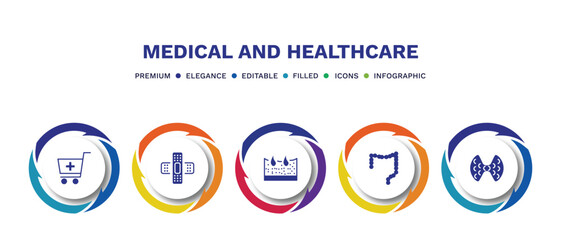 set of medical and healthcare filled icons. medical and healthcare filled icons with infographic template. flat icons such as phary shopping cart, sticking plaster, dermis, colon, thyroid gland