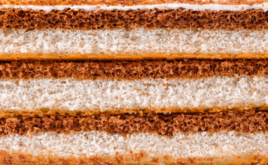 Sponge cake, dark and light layers close-up view on side