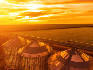 Grain silos on a green field background with warm sunset light. Grain elevator. Metal grain elevator in agricultural zone. Agriculture storage for harvest. Aerial view of agricultural factory. Nobody. © panophotograph