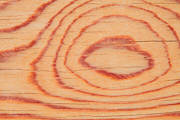 Fototapeta premium Wooden surface polished board, structure of tree with characteristic pattern of streaks, close-up, uniform