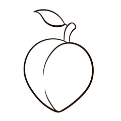Line drawing of whole healthy organic peach for orchard logo identity. Line art vector icon.