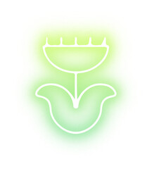 Collection of nature neon