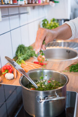 Kochen mit Kräutern  Veganer Küche
