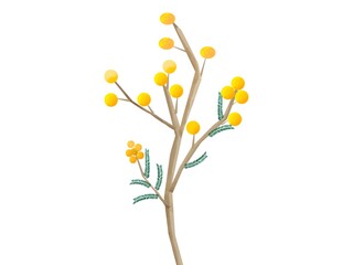 yellow flowers on a white background, yellow flowers on a tree, yellow flowers with leaves on a tree