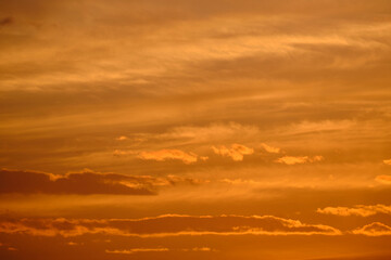 Naklejka na ściany i meble Clouds yellow sky background during sunset.