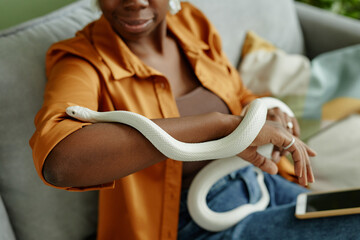 Close-up of white rat snake creeping over arms of young African American female owner holding...