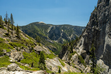 Fototapeta na wymiar Layers of Granite and Green Bushes Along Yosemite Falls Trail