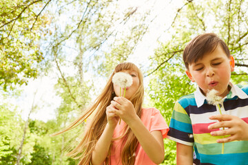 Girl and boy blowing dandelions in summer at park