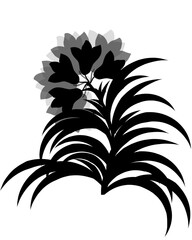 silhouette of lily flower